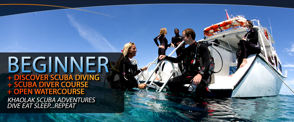 padi_beginner_courses